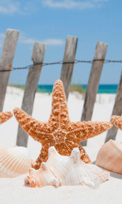 Dimex Starfish Carta Da Parati In Tessuto Non Tessuto 150X250cm 2 Strisce | Yourdecoration.it