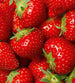 Dimex Strawberry Carta Da Parati In Tessuto Non Tessuto 225X250cm 3 Strisce | Yourdecoration.it