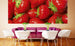 Dimex Strawberry Carta Da Parati In Tessuto Non Tessuto 375X150cm 5 Strisce Ambiente | Yourdecoration.it