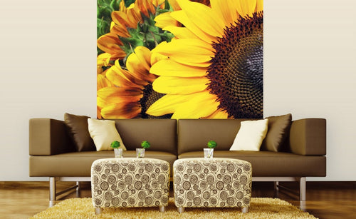 Dimex Sunflowers Carta Da Parati In Tessuto Non Tessuto 225X250cm 3 Strisce Ambiente | Yourdecoration.it