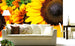 Dimex Sunflowers Carta Da Parati In Tessuto Non Tessuto 375X250cm 5 Strisce Ambiente | Yourdecoration.it