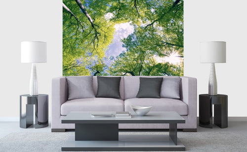 Dimex Trees Carta Da Parati In Tessuto Non Tessuto 225X250cm 3 Strisce Ambiente | Yourdecoration.it