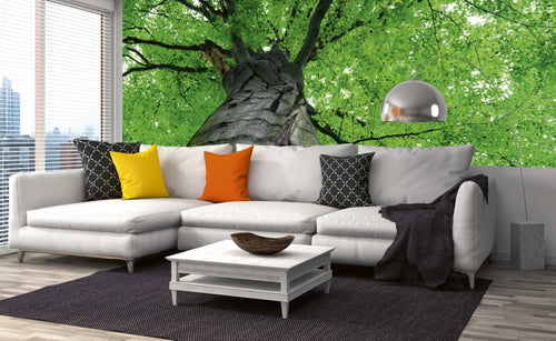 Dimex Treetop Carta Da Parati In Tessuto Non Tessuto 375X150cm 5 Strisce Ambiente | Yourdecoration.it