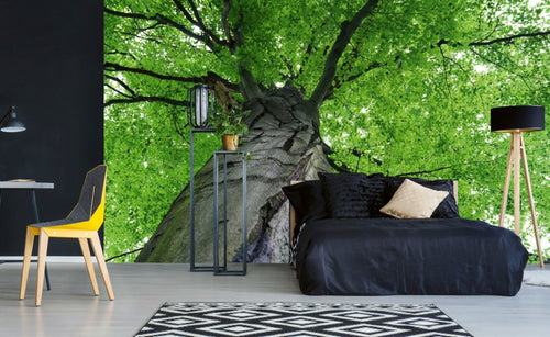 Dimex Treetop Carta Da Parati In Tessuto Non Tessuto 375X250cm 5 Strisce Ambiente | Yourdecoration.it