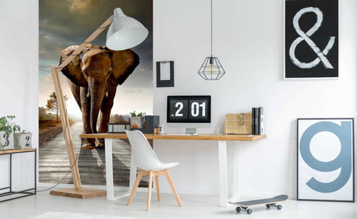 Dimex Walking Elephant Carta Da Parati In Tessuto Non Tessuto 150X250cm 2 Strisce Ambiente | Yourdecoration.it