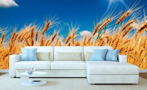 Dimex Wheat Field Carta Da Parati In Tessuto Non Tessuto 375X250cm 5 Strisce Ambiente | Yourdecoration.it