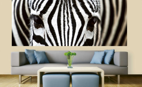 Dimex Zebra Carta Da Parati In Tessuto Non Tessuto 375X150cm 5 Strisce Ambiente | Yourdecoration.it