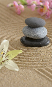 Dimex Zen Garden Carta Da Parati In Tessuto Non Tessuto 150X250cm 2 Strisce | Yourdecoration.it