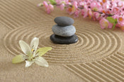 Dimex Zen Garden Carta Da Parati In Tessuto Non Tessuto 375X250cm 5 Strisce | Yourdecoration.it