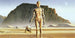 Dx10 051 Komar Star Wars Classic Rmq Droids Carta Da Parati In Tessuto Non Tessuto 500X250cm 10 Strisce_6F2482Ee 37Fb 4D27 A4B7 4Cda857C0740 | Yourdecoration.it