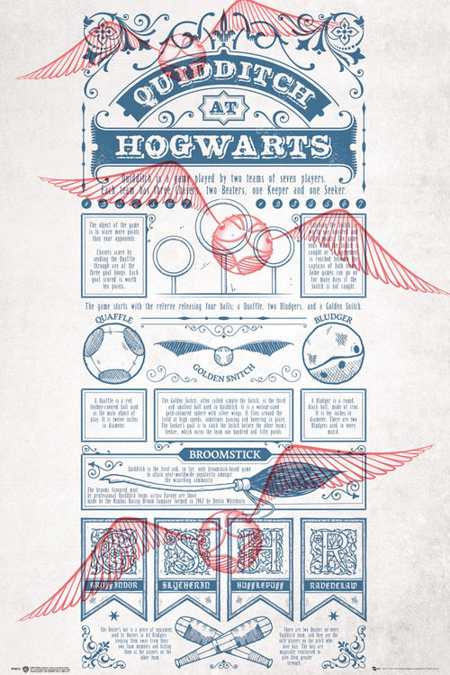 Gbeye Harry Potter Quidditch At Hogwarts Poster 61X91 5cm | Yourdecoration.it