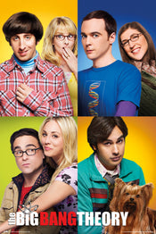 Grupo Erik GPE5328 The Big Bang Theory Mosaico Poster 61X91,5cm | Yourdecoration.it