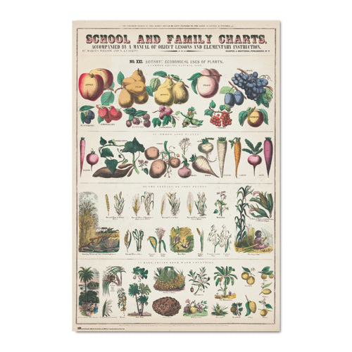 Grupo Erik Gpe5603 Poster Fruits And Vegetables | Yourdecoration.it