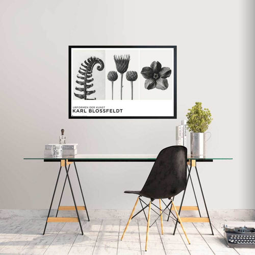 grupo erik gpe5626 poster urformen der kunst by k blossfeldt sfeer | Yourdecoration.it