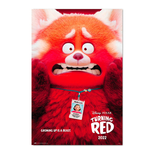 Grupo Erik Gpe5640 Pixar Turning Red Poster 61X91 5cm | Yourdecoration.it