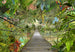 komar_vlies_carta da parati_8_977_wild_bridge | Yourdecoration.it