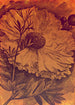 komar_vlies_carta da parati_INX4_031_Harvest | Yourdecoration.it