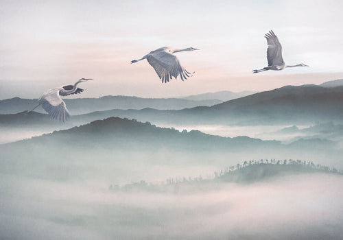 komar_vlies_carta da parati_INX8_083_Mystic_Cranes | Yourdecoration.it