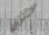 komar_vlies_carta da parati_x7_1023_concrete_feather | Yourdecoration.it