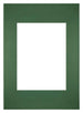 Passepartout Dimensione Cornice 20x28 cm - Formato Immagine 13x18 cm - Foresta Verde