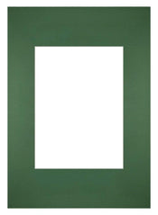 Passepartout Dimensione Cornice 21x29 7 cm - A4 Formato Immagine 13x18 cm - Foresta Verde