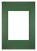 Passepartout Dimensione Cornice 21x29 7 cm - A4 Formato Immagine 13x18 cm - Foresta Verde