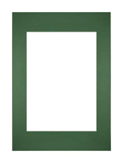 Passepartout Dimensione Cornice 21x29 7 cm - A4 Formato Immagine 14 8x21 cm - Foresta Verde