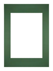 Passepartout Dimensione Cornice 29 7x42 cm - A3 Formato Immagine 21x29 7 cm - Foresta Verde