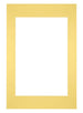 Passepartout Dimensione Cornice 40x60 cm - Formato Immagine 30x45 cm - Giallo