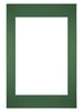 Passepartout Dimensione Cornice 40x60 cm - Formato Immagine 30x45 cm - Foresta Verde