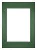 Passepartout Dimensione Cornice 42x59 4 cm - A2 Formato Immagine 29 7x42 cm - Foresta Verde