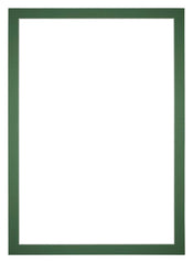 Passepartout Dimensione Cornice 21x29,7 cm - A4 Formato Immagine 15x20 cm - Foresta Verde