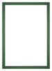 Passepartout Dimensione Cornice 21x29,7 cm - A4 Formato Immagine 15x20 cm - Foresta Verde