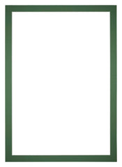 Passepartout Dimensione Cornice 30x42 cm - Formato Immagine 25x35 cm - Foresta Verde