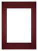 Passepartout Dimensione Cornice 59,4x84 cm - A1 Formato Immagine 42x59,4 cm - Vino Rosso