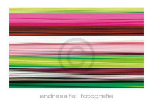 pgm afl 09 andreas feil fotografie ii stampa artistica 138x95cm | Yourdecoration.it