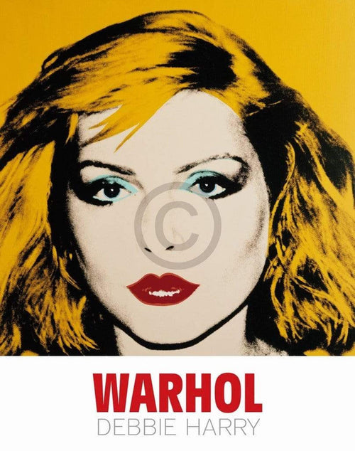 pgm aw 1669 andy warhol debbie harry 1980 stampa artistica 90x114cm | Yourdecoration.it