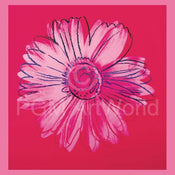 pgm aw 792 andy warhol daisy 1982 stampa artistica 90x90cm | Yourdecoration.it