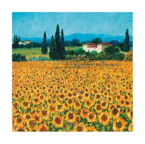 pgm brh 88 hazel barker farm near siena stampa artistica 61x61cm | Yourdecoration.it