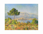 pgm cm 142 claude monet antibes 1888 stampa artistica 71x56cm | Yourdecoration.it