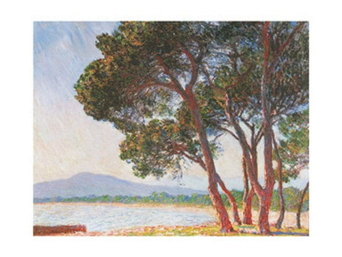 pgm cm 629 claude monet la plage de juan les pins stampa artistica 80x60cm | Yourdecoration.it