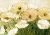 pgm eks 701m elisabeth krobs tender poppies stampa artistica 44041x21cm | Yourdecoration.it