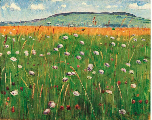 pgm fdh 813 ferdinand hodler wiesenstuck 1900 1902 stampa artistica 60x48cm | Yourdecoration.it