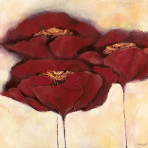 pgm fe 27 elena filatov mohn in milch i stampa artistica 70x70cm | Yourdecoration.it