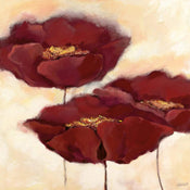 pgm fe 28 elena filatov mohn in milch ii stampa artistica 70x70cm | Yourdecoration.it