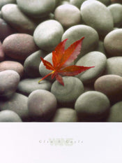 pgm ggw 70 glen en gale wans leaf on stone stampa artistica 45x61cm edf31f94 4da2 4117 b3f3 fc3ccd11788e | Yourdecoration.it