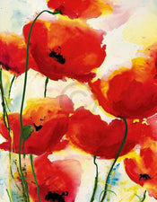 pgm hre 03 heidi reil roter mohn stampa artistica 70x90cm 866c9039 3ab9 4588 a3cf 75d301c52576 | Yourdecoration.it