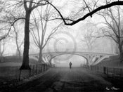 pgm hsi 271 henri silberman gothic bridge central park nyc stampa artistica 80x60cm 8e18dca0 6424 4fce 8f4d 1e2254b7085a | Yourdecoration.it