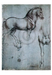 pgm ldv 789 leonardo da vinci studio di cavalli stampa artistica 35x50cm 4bf23aab 3286 42d9 9298 990c479e5d53 | Yourdecoration.it