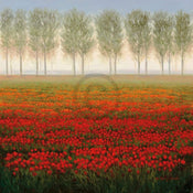 pgm pak 99 park morning mist stampa artistica 68x68cm | Yourdecoration.it